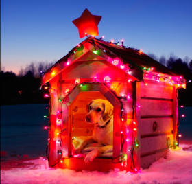 christmas_dog_house
